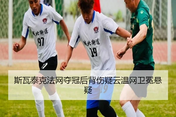 si-wa-tai-ke-fa-wang-duo-guan-hou-bei-shang-yi-yun-wen-wang-wei-mian-xuan-yi-1-694.jpg