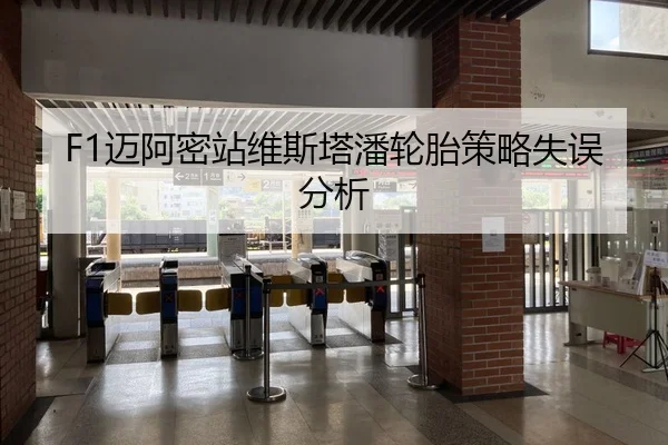 mai-a-mi-zhan-wei-si-ta-pan-lun-tai-ce-lve-shi-wu-fen-xi-2-222.jpg