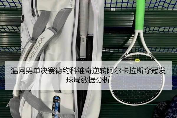 wen-wang-nan-dan-jue-sai-de-yue-ke-wei-qi-ni-zhuan-a-er-ka-la-si-duo-guan-fa-qiu-ju-shu-ju-fen-xi-1-963.jpg