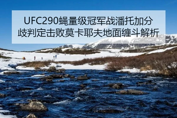 ying-liang-ji-guan-jun-zhan-pan-tuo-jia-fen-qi-pan-ding-ji-bai-mo-ka-ye-fu-di-mian-chan-dou-jie-xi-3-876.jpg